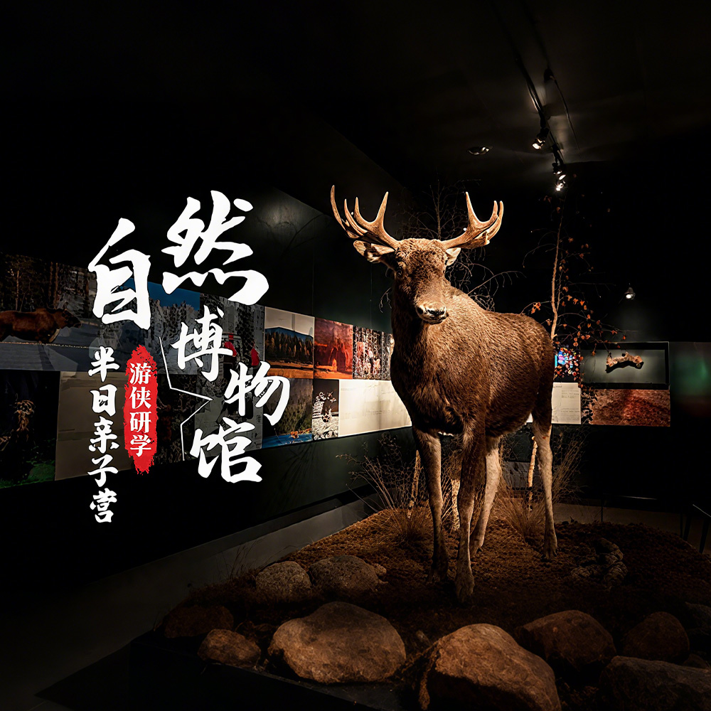 游侠研学·自然博物馆 | 追溯真正的生物进化史