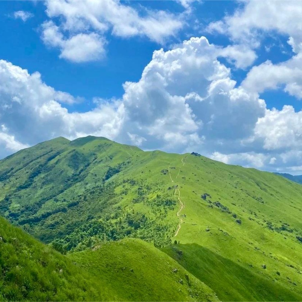 港版武功山 | 徒步鸡公岭，邂逅高山草坪