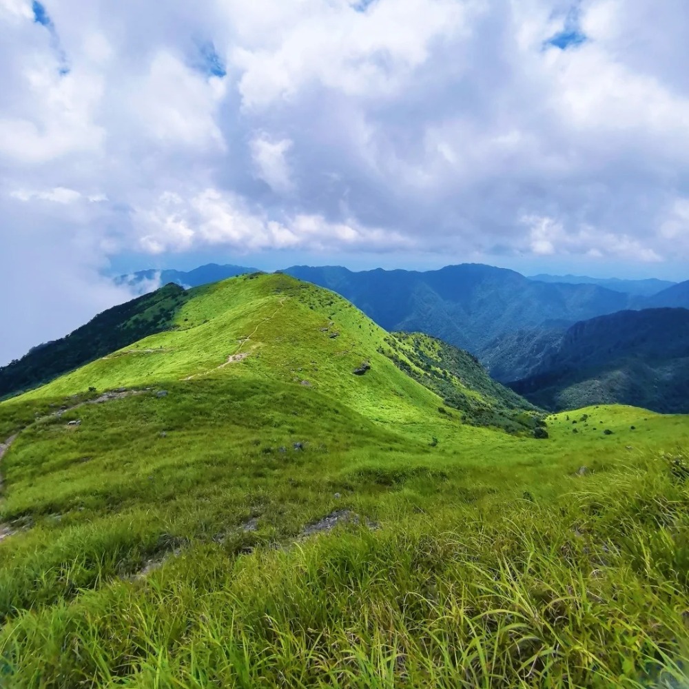 绿色后山顶 | 广东绝美高山草原