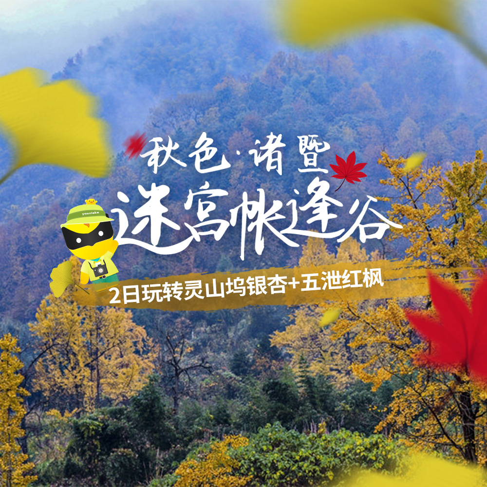 亲子·秋色迷宫帐篷谷 | 灵山坞银杏+五泄红枫-2日