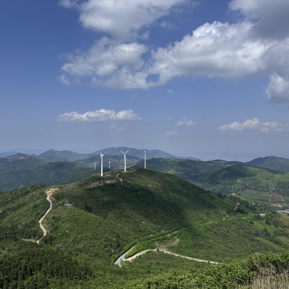 浙中屋脊·东白山 ，高山草甸，风车飞舞