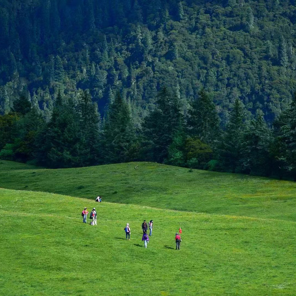 山海·理小路环线│神木垒/夹金山/苹果林/理小路