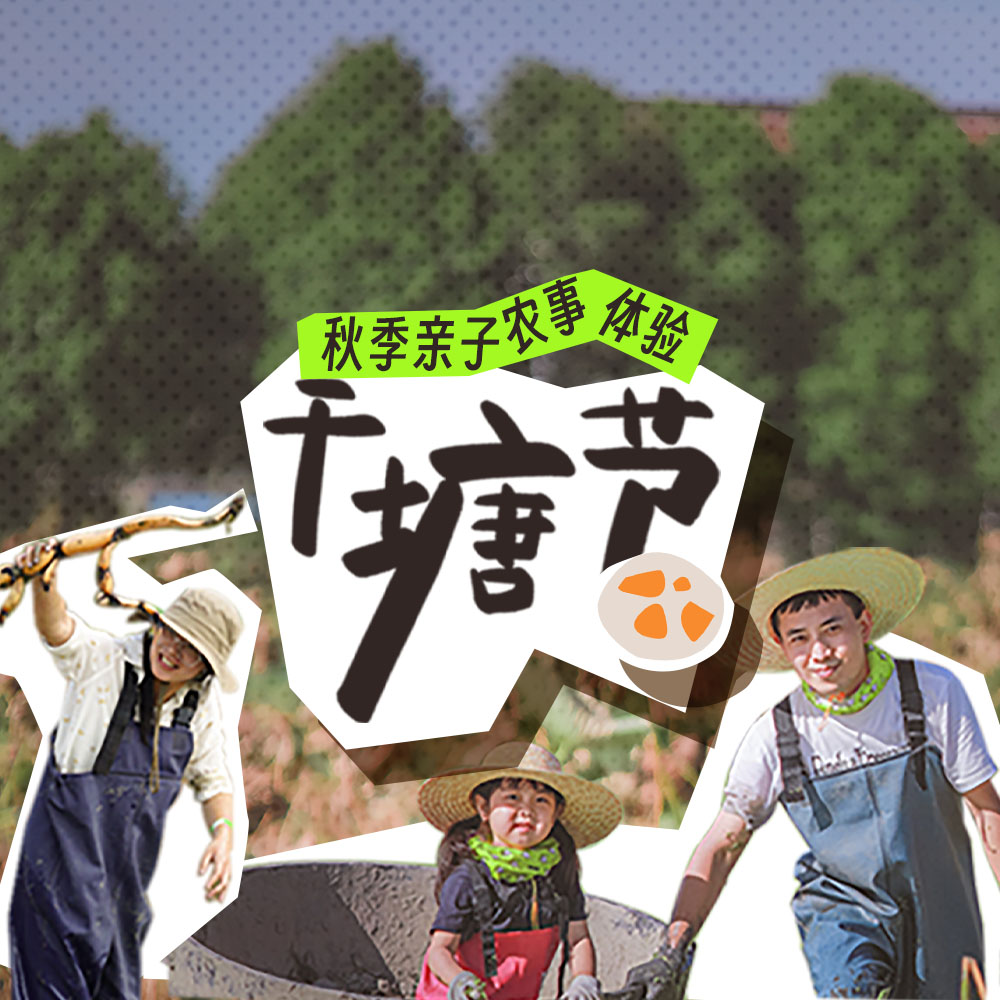 亲子·杭州干塘节1日 | 荷塘挖藕、摸泥鳅、吃叫花鸡