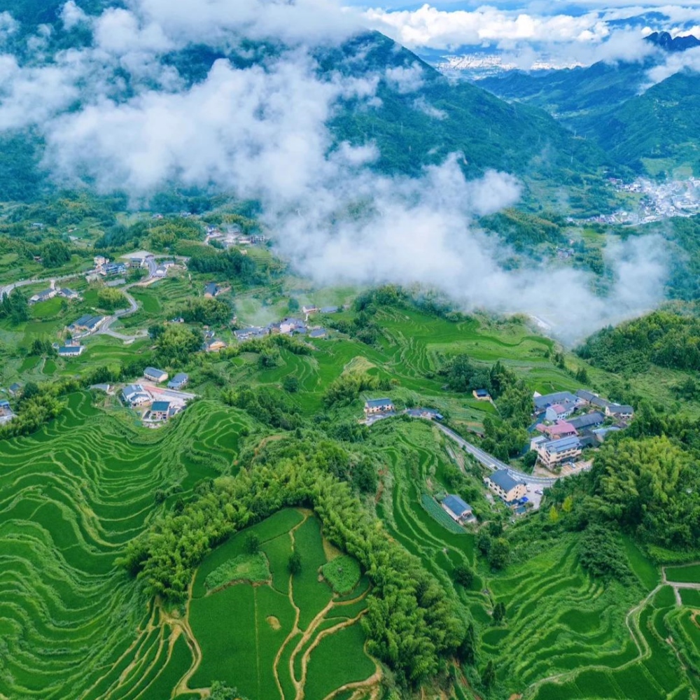 亲子·云和松阳 | 探浙南山水秘境，泛瓯江畲寨趣民俗