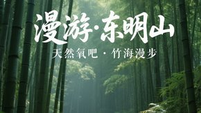 东明山漫游|摘番茄🍅水果小黄瓜🥒季节限定!