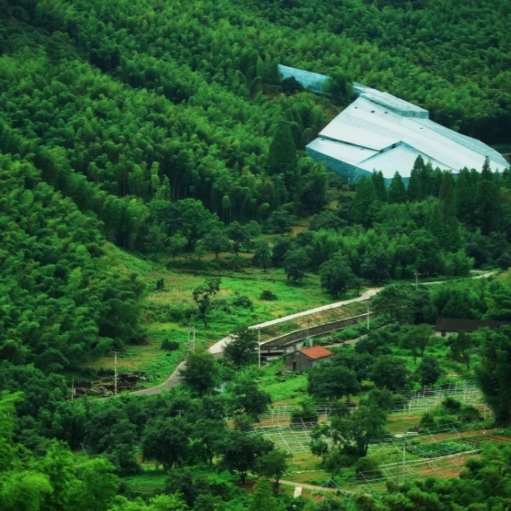 山水鸣鹤·五磊寻源｜漫游青山、轻水嬉行、览五磊寺