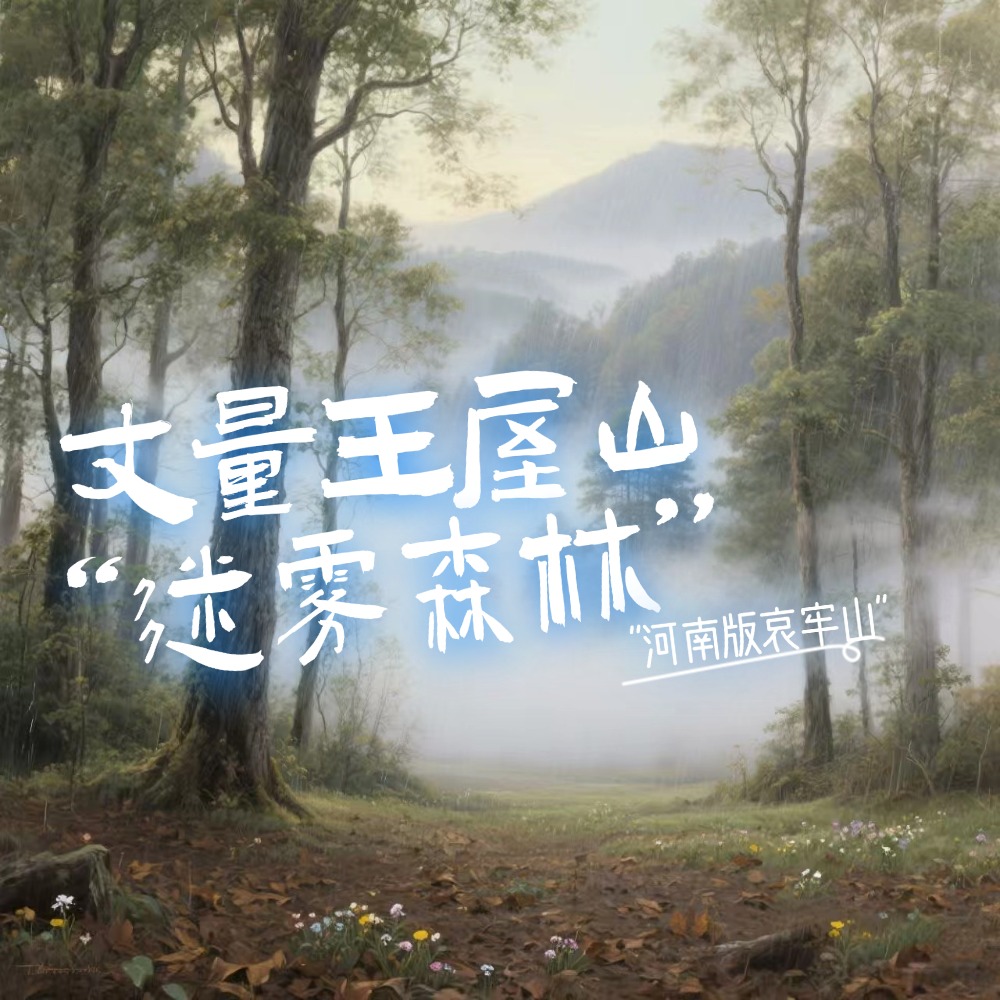 丈量王屋山 | 林海探幽 ·破迷雾障