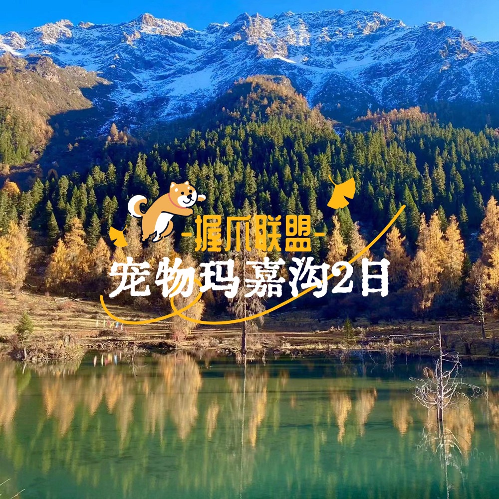 握爪联盟·宠物秋日秘境｜玛嘉沟2日
