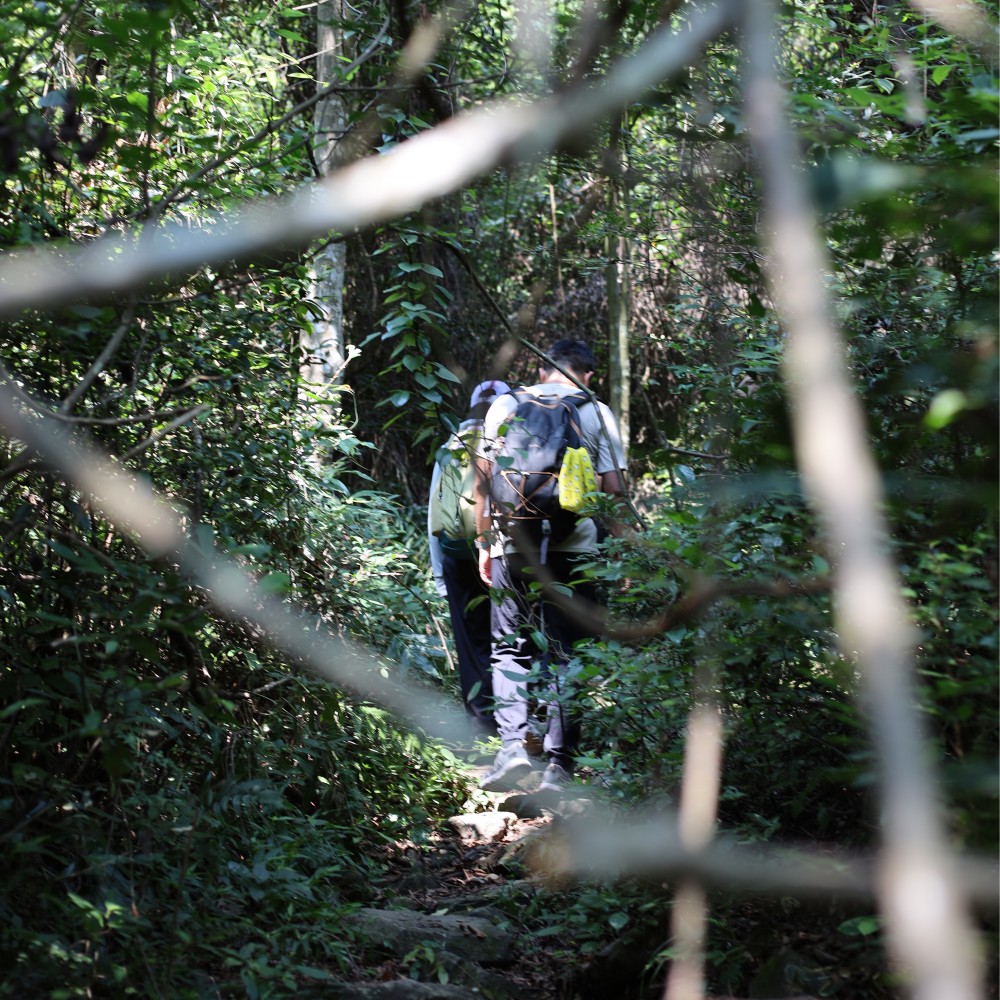 藤蔓秘境·天坑地缝｜宁波一线天，过原始藤蔓看裂谷