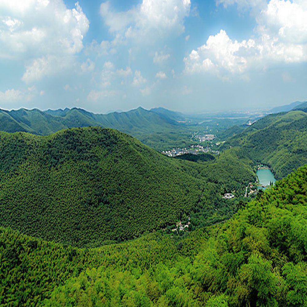 疾速追山·宜兴龙脊 | 穿越宜兴竹海，登顶苏南最高峰