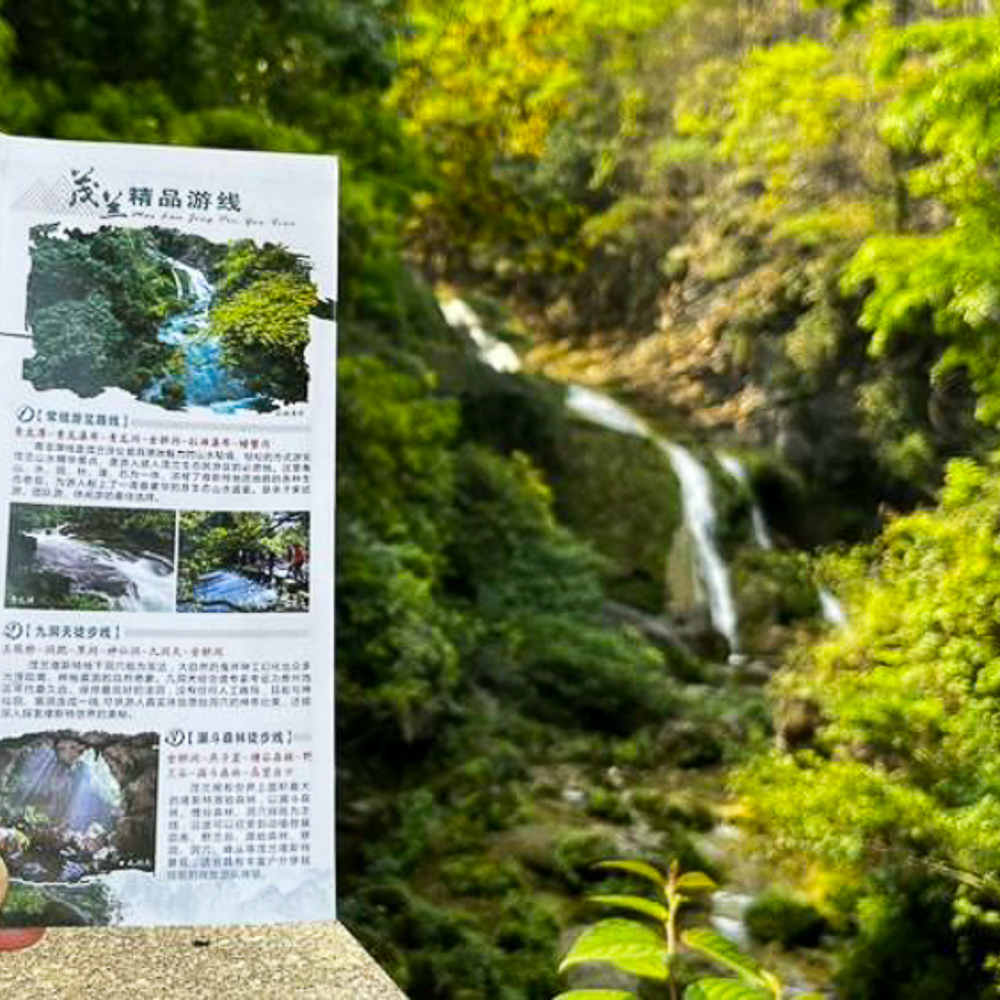 茂兰森林+小七孔 | 避开人潮，住进黔南世界遗产里
