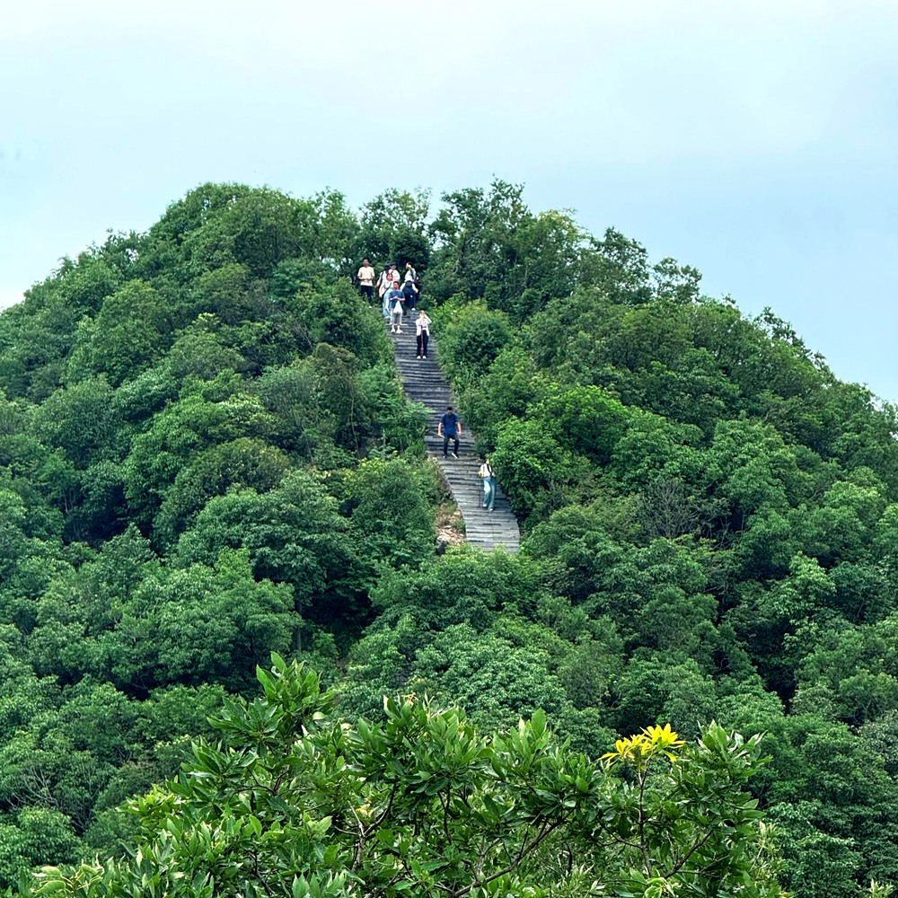 杭州·龙井秘境｜寻茶田天空之镜，双水库打卡 