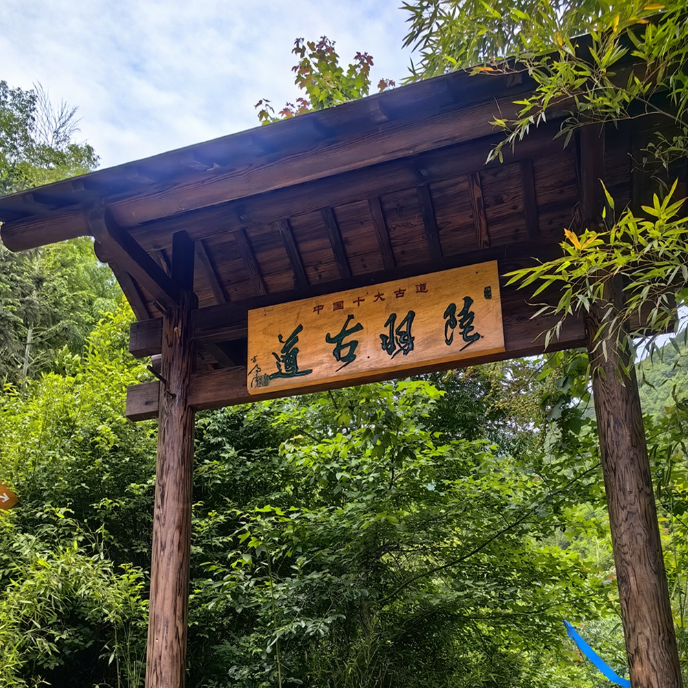 江南水乡·陆羽古道 | 徒步千年古道，探访南浔古镇