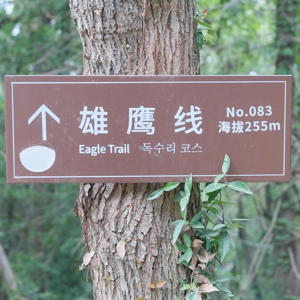 开瑞坦x美团买药 | 虞山雄鹰线，12km雄鹰轨迹
