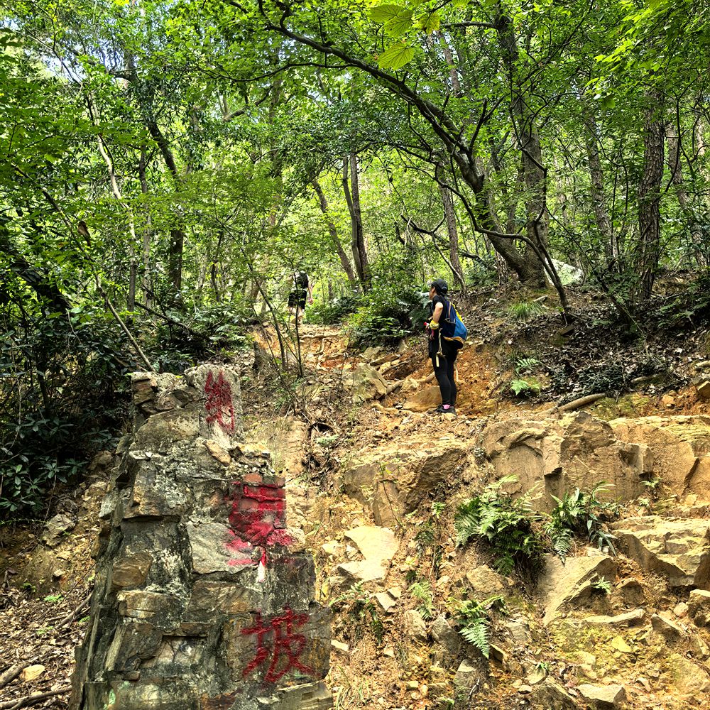 开瑞坦x美团买药 | 虞山雄鹰线，12km雄鹰轨迹