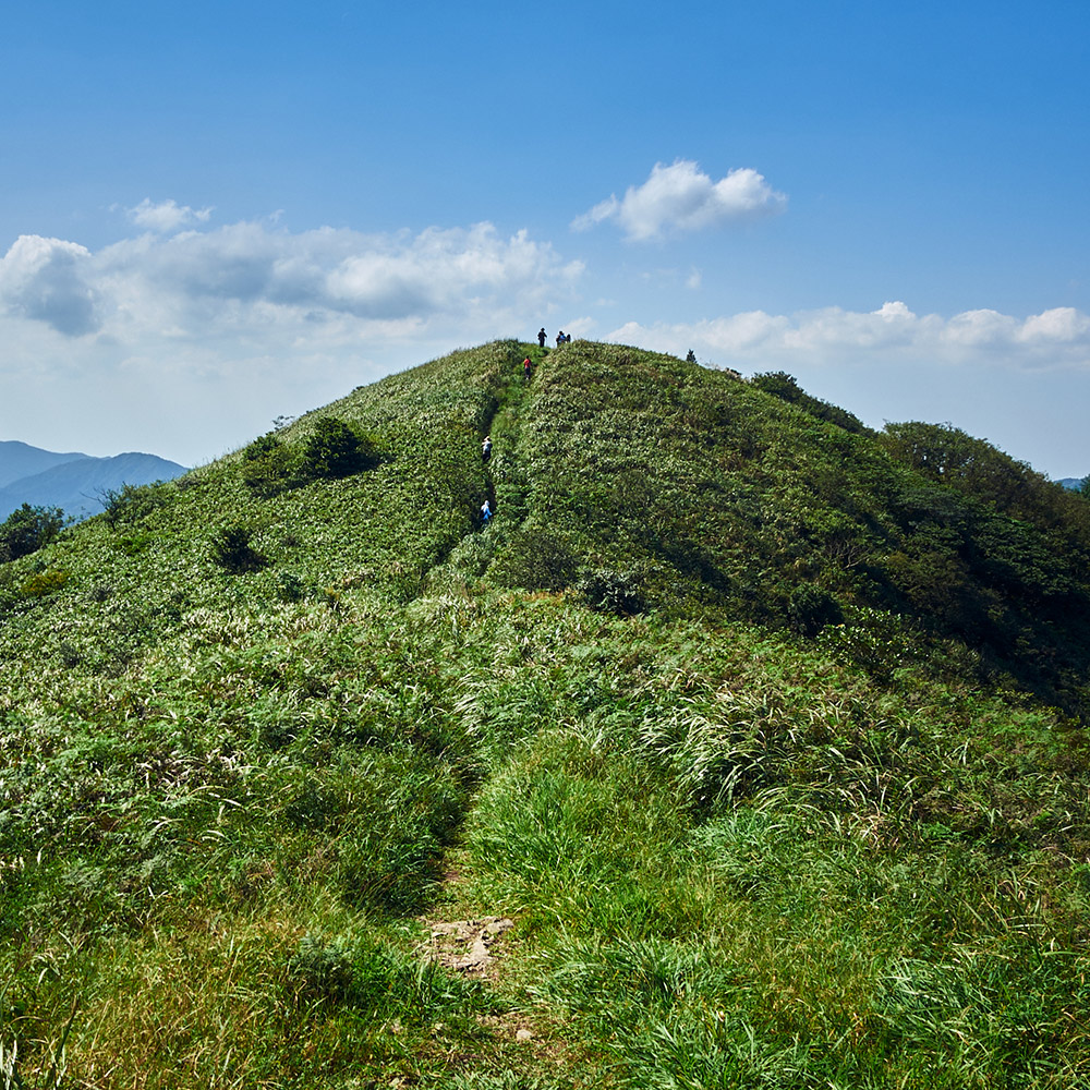 风车草甸·东盘山 | 东海小武功，单日踏青！