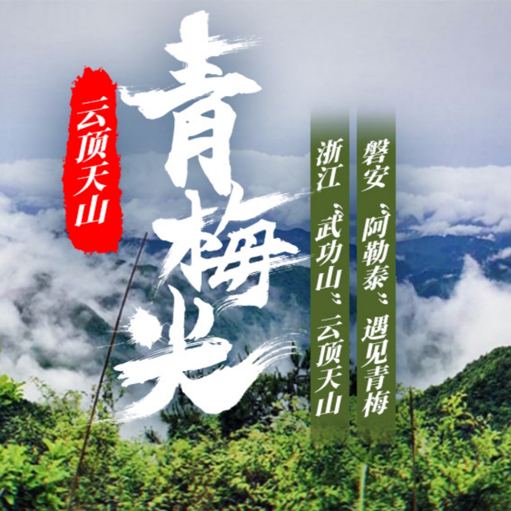 星野·青梅尖｜夜揽星河，晨瞰云瀑，荒野露营初体验
