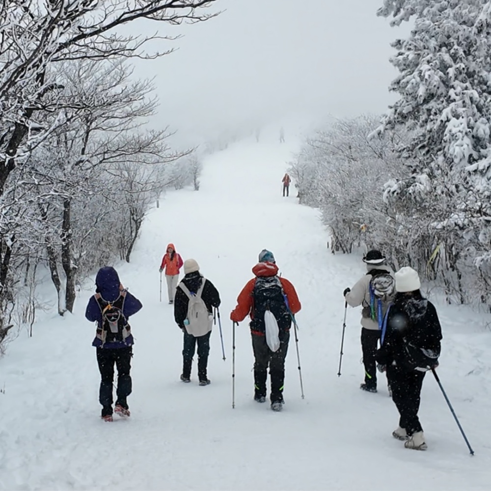 千山暮雪·龙王山｜登天目之巅，傲视诸峰，江南雪景