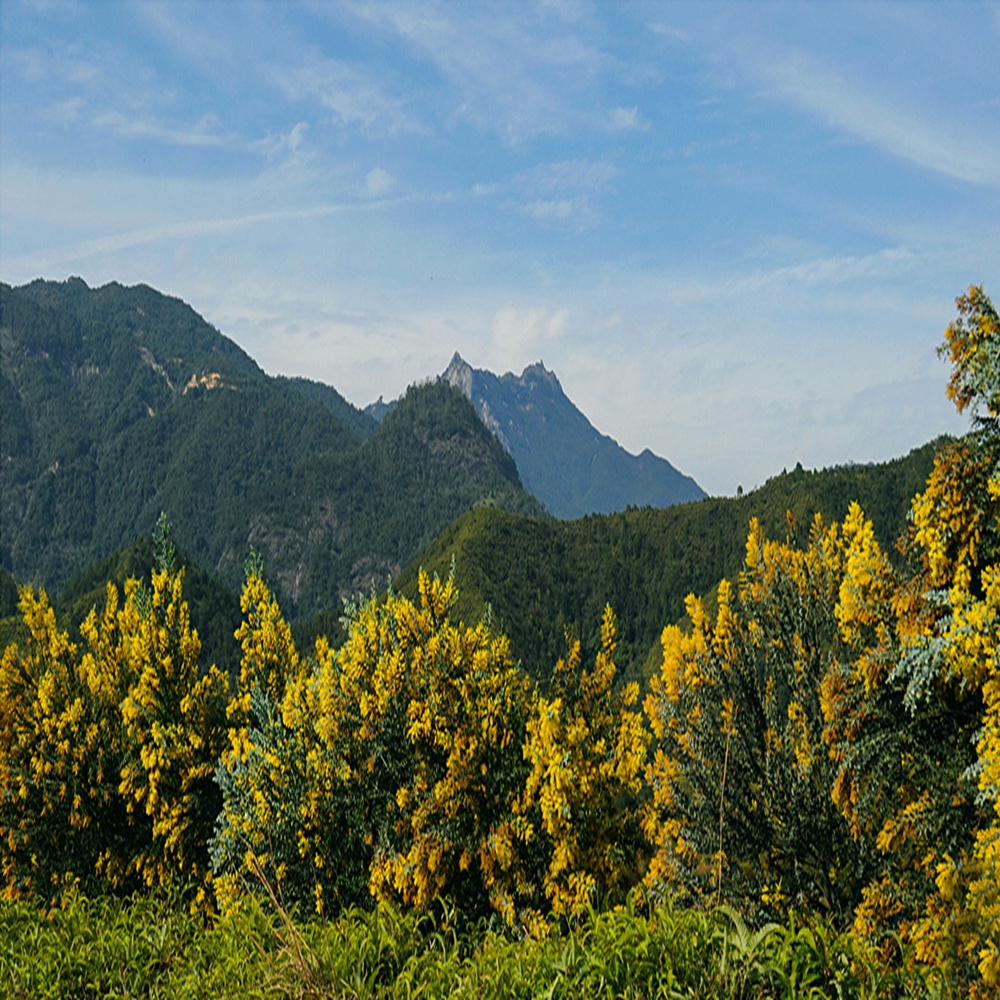秋行经典·三洲古道 | 单日轻户外， 秋色大赏