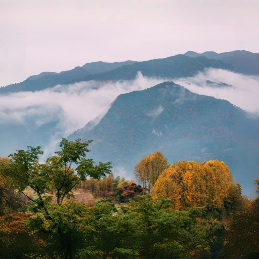 秋染四明·雪窦山｜漫步名山古道，看红枫层林尽染