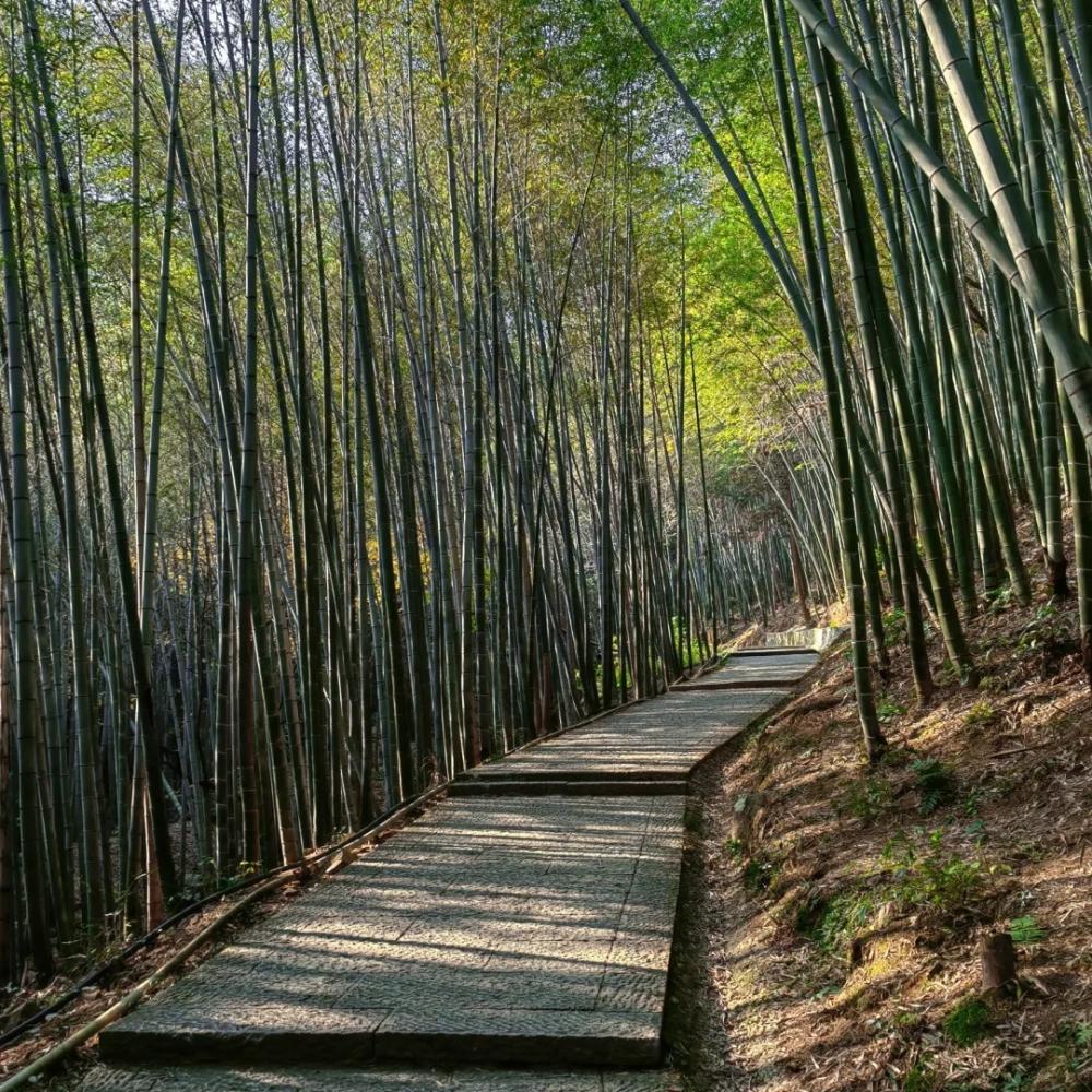 无痕山野·碧岩古道 | 捡拾垃圾，可持续户外旅行