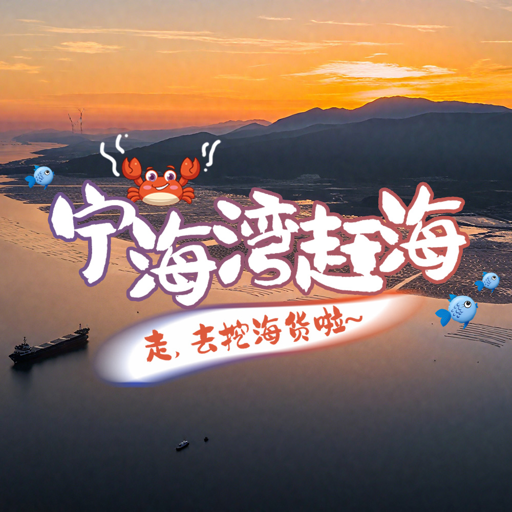 亲子·宁海湾赶海 | 暑假当岛民，体验N种赶海新玩法