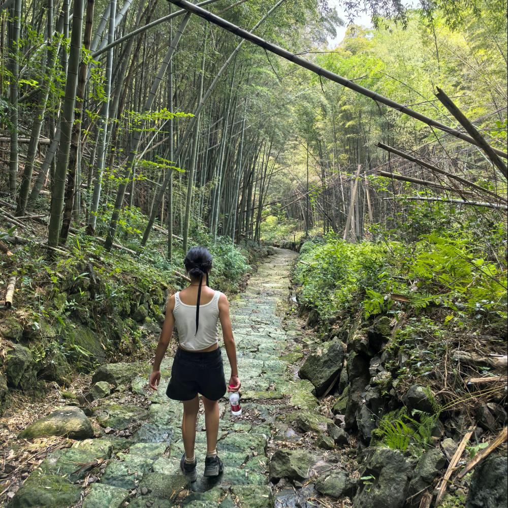 上青古道｜竹林、古道，单日8km入门徒步