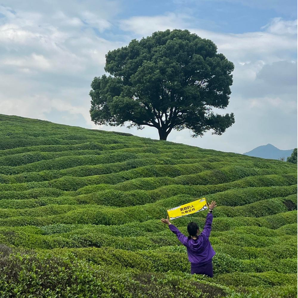 云上茶乡·仙韵凸山｜登嶀山吃年糕，打卡孤独的树