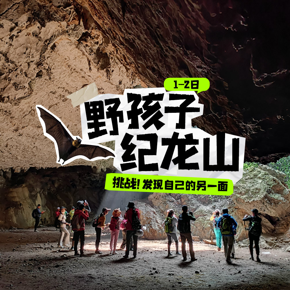 亲子户外·纪龙山1-2日 | 野孩子喀斯特小勇士