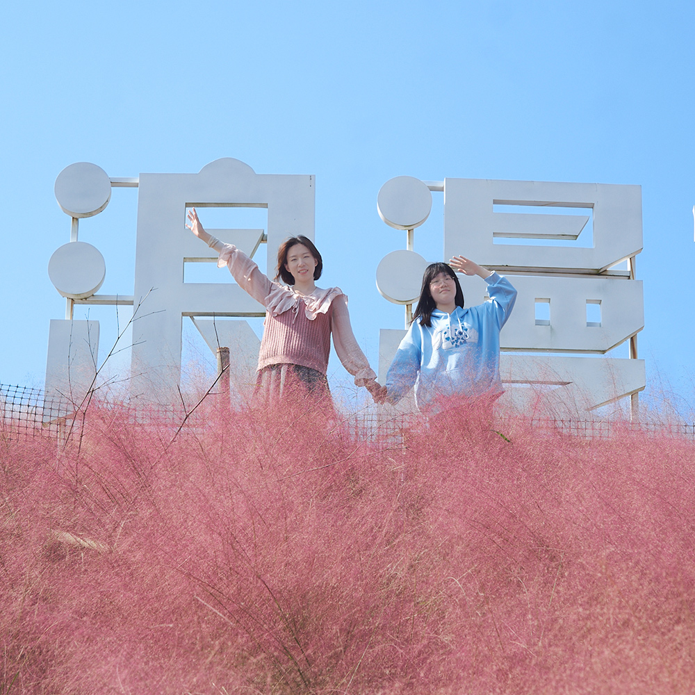 无锡出发·月宫山 | 粉黛花海，花田古村，茶溪相伴！