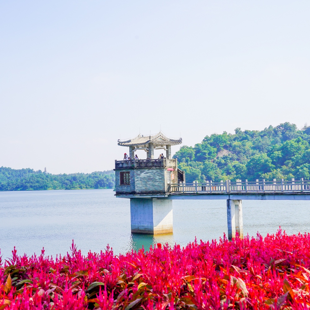 惠州骑行 | 惠州西湖漫步+红花湖骑行一日游