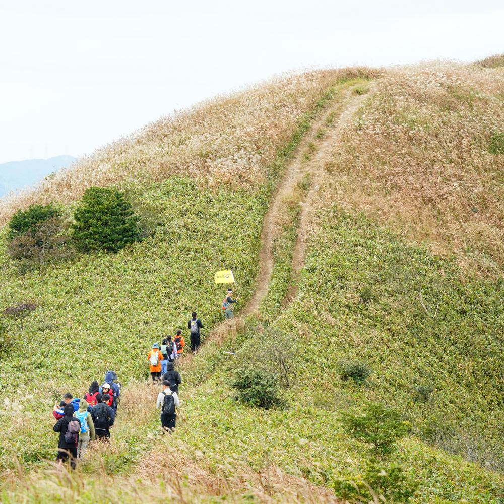 东盘山·风车草甸｜登浙东小武功，漫步高山草甸！