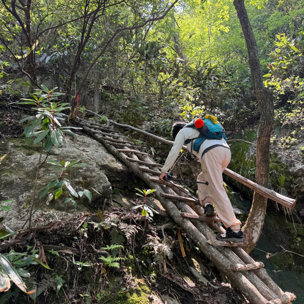 浦东东体·南屿山｜跨溪流爬木梯，远观江南天池