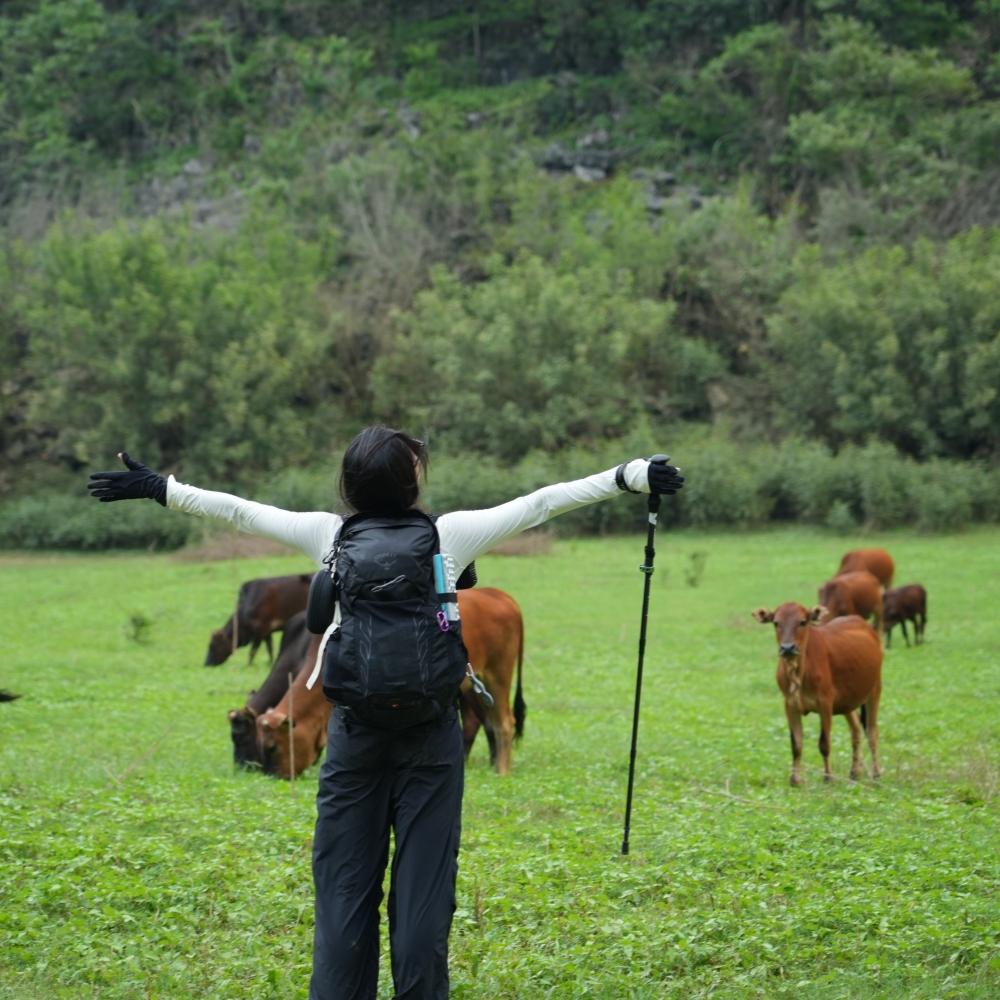 牛湖线探秘 | 清远牛湖线徒步，探秘天坑与大草原