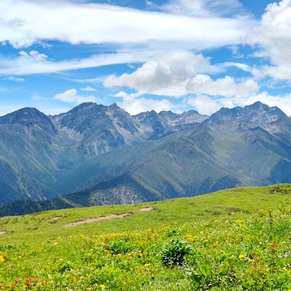 高山秘境·云上花林 | 穿越草甸 漫步云端 遥望雪山
