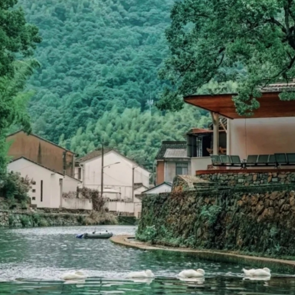 浙是乡野·亭溪岭｜白云寺祈福，城杨村荏苒