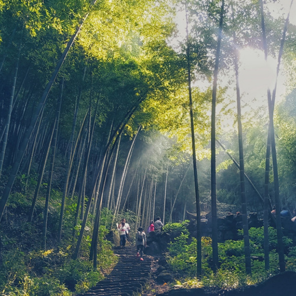 无痕山野·天字古道｜徒步净山，做负责任的户外人！