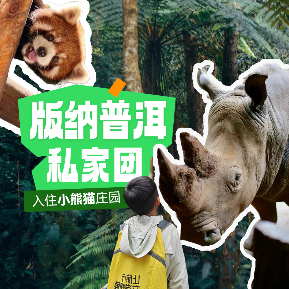 亲子·版纳普洱私家团 | 轻享度假5日,下单需询价