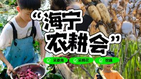 亲子·海宁农耕会1日 | 摘棉花、砍甘蔗、采菱挖莲藕