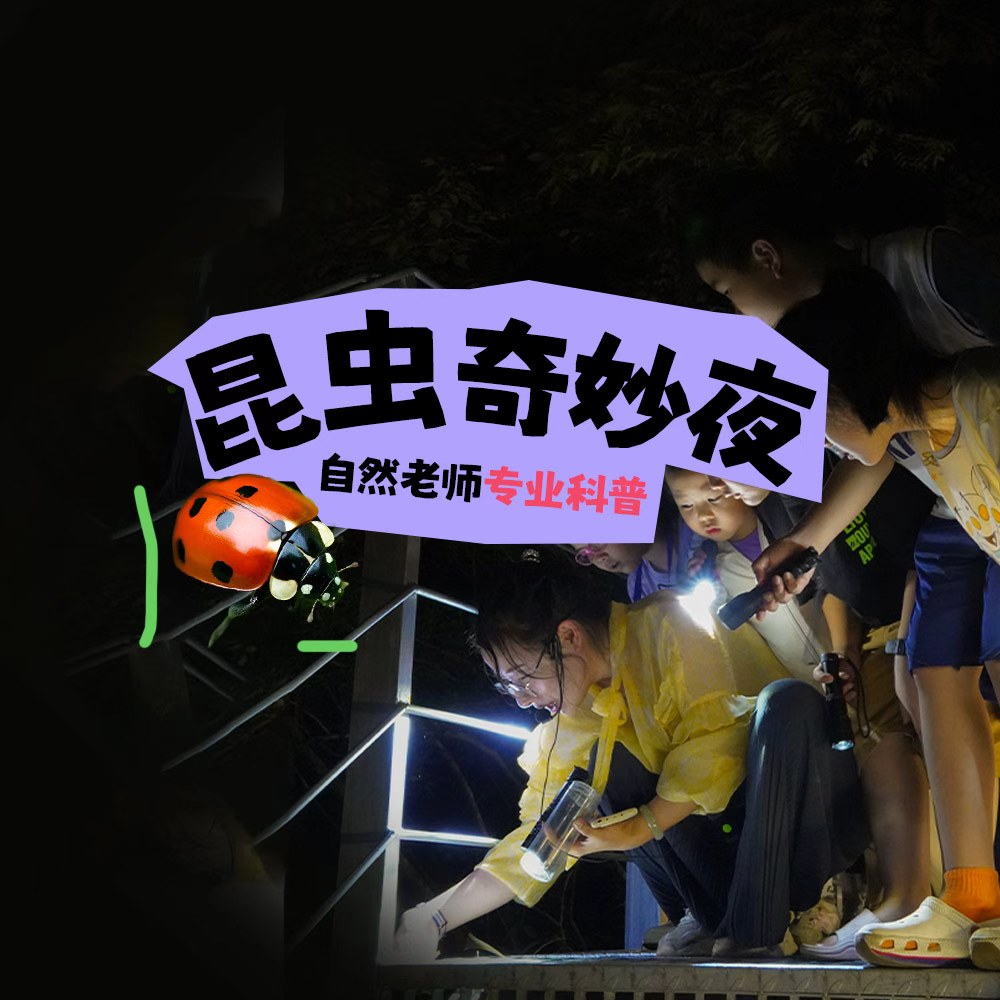 亲子·昆虫奇妙夜 | 专业昆虫老师，异国昆虫大揭秘