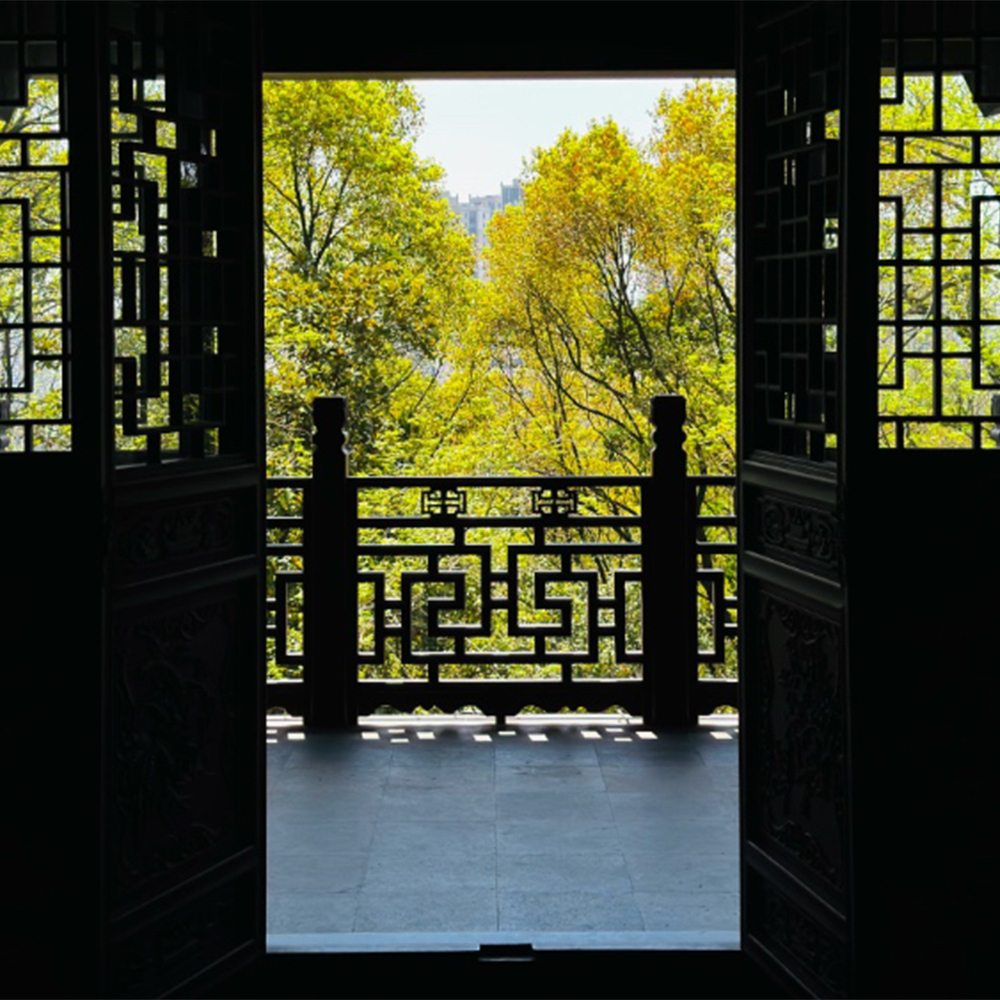 宝藏小城·海宁 | 诗意江南，玫瑰葡萄采摘