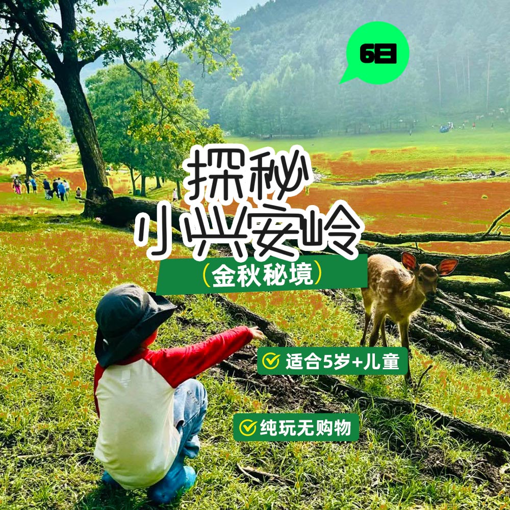 亲子·秋趣东北6日 | 哈工大+探秘金秋小兴安岭