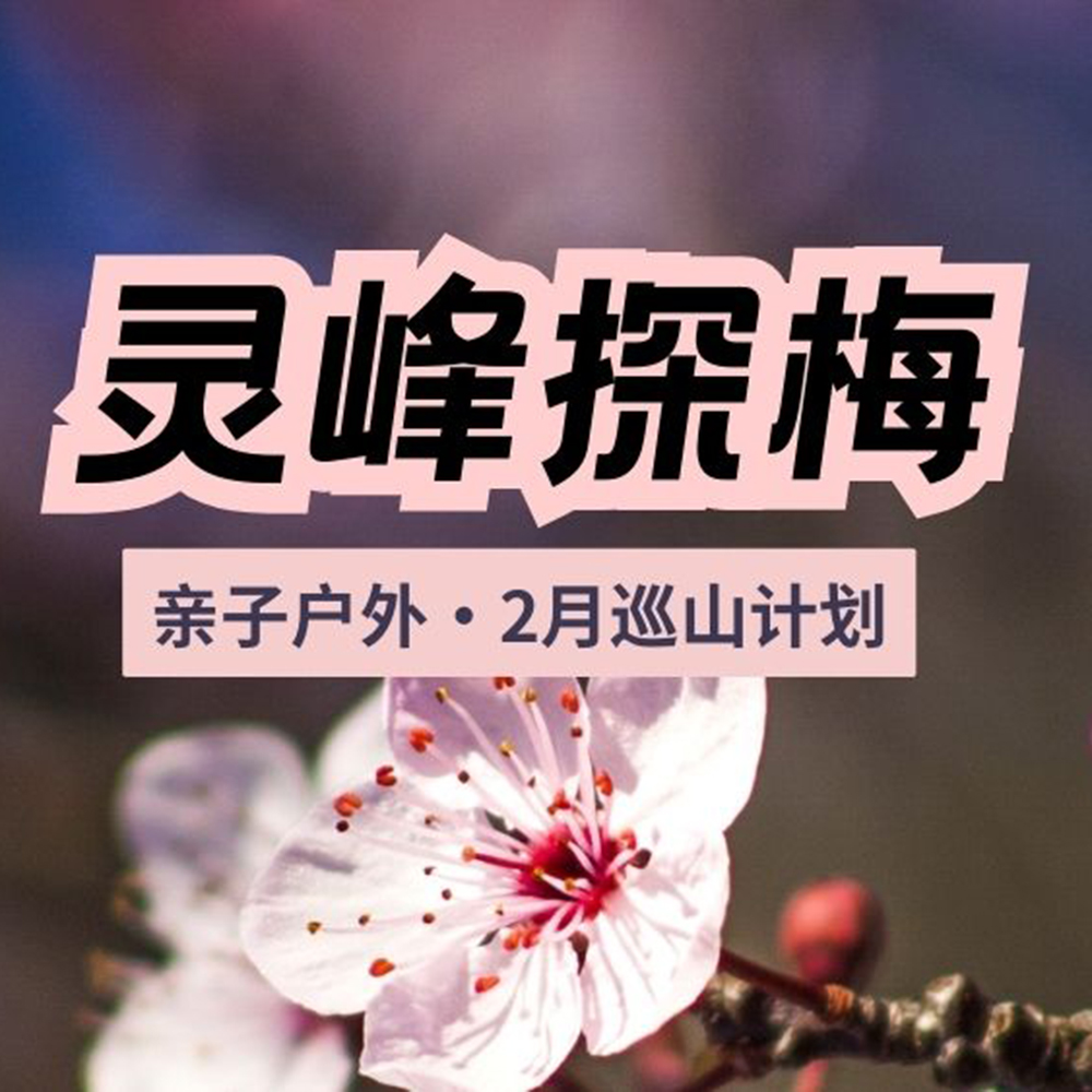 亲子户外·巡山计划 | 灵峰探梅半日，赏梅闻香