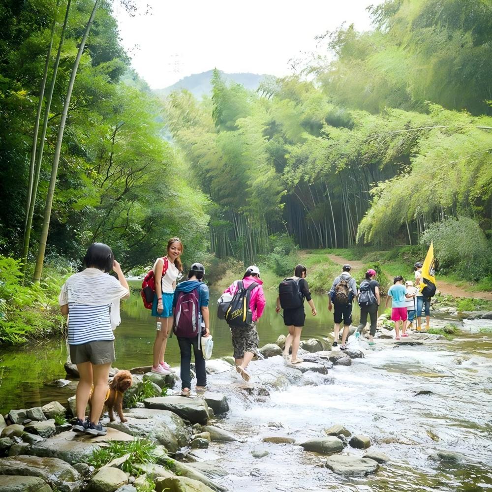 亲子·玩水溯溪 | 超自然峡谷清凉戏水，水陆双道撒欢