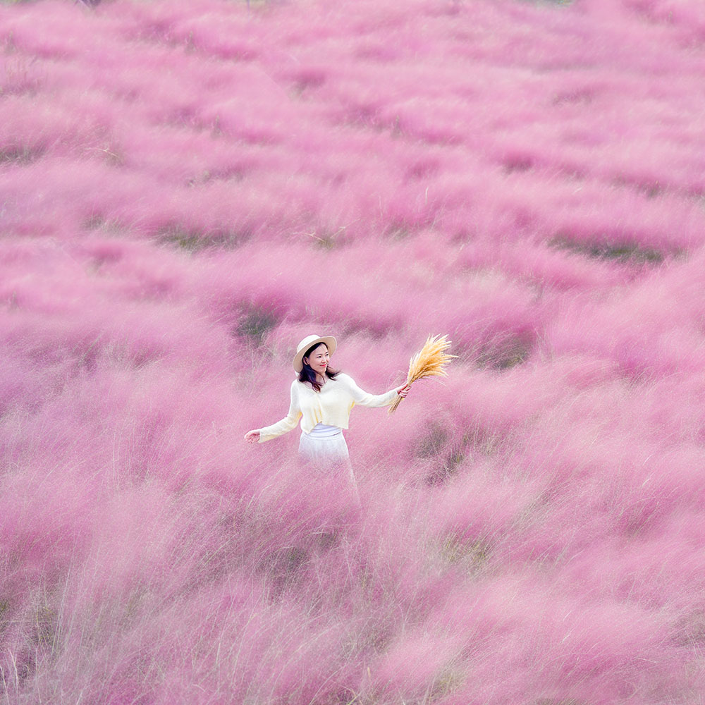 粉黛花海·懒坝穿越│初秋粉黛·远山辉映