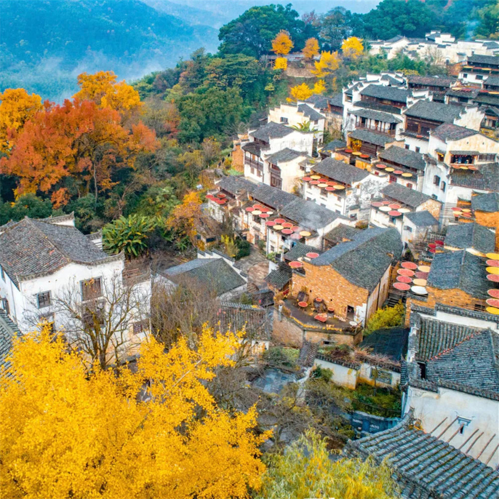 江西·徽风瓷韵4日 景德镇-婺源篁岭-婺女洲