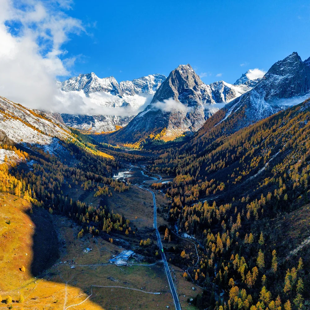 秋色·毕棚沟│漫步四姑娘背影，迷醉高原舒享温泉