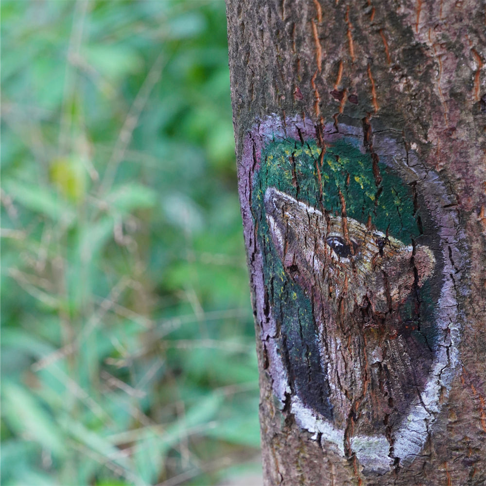 亲子·户外小驴 | 黄麻环线8KM，寻迹动物画，一日