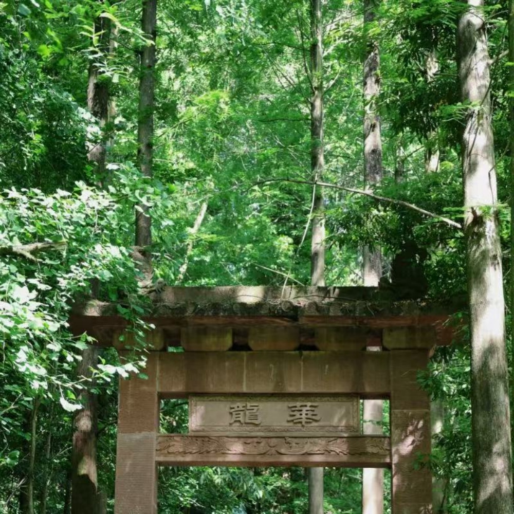 亲子轻徒·凤栖山5KM | 每周一山·趣吃街子