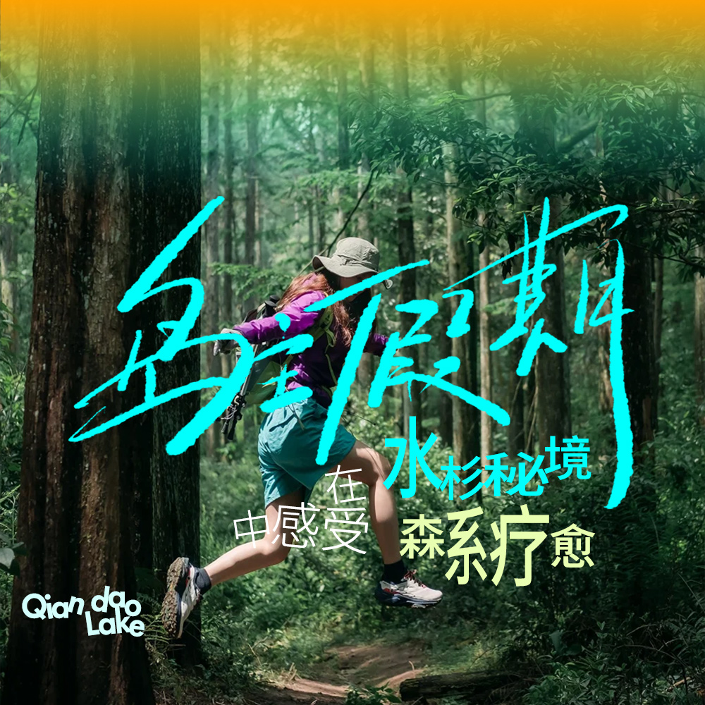 千湖千面·岛主假期 | 牧心谷森系徒步，感受水杉密林